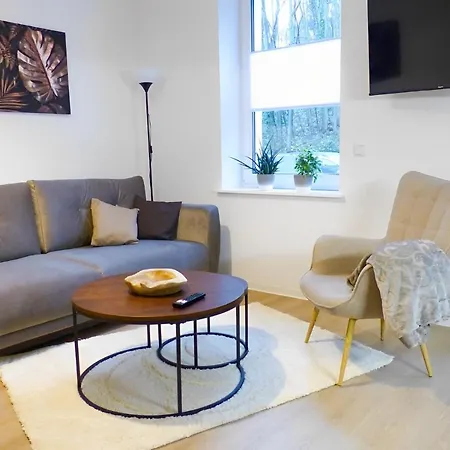 Modernes Apartment Mit Queensize-Bett, Netflix, Kueche, Erdgeschoss, Naehe Ameos Klinik Aschersleben Exterior photo