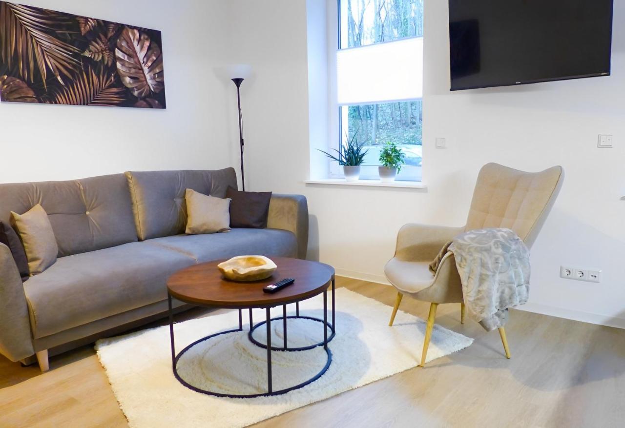 Apartment Modernes Mit Queensize-bett, Netflix, Kueche, Erdgeschoss, Naehe Ameos Klinik Aschersleben